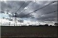 Electricity Pylons East of Stamford Bridge in YO41 1AR