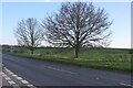 Yeldham Road, Castle Hedingham in CO9 3DZ