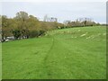 Path below Stoakes Cottage in TN25 5HQ