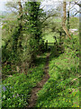 Footpath and stile in SY15 6AQ
