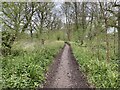 Footpath behind Applegarth Avenue in GU3 3DA