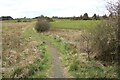 Path around the marsh in G74 4GY