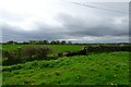 Farmland south of Steeton Lane in LS24 8EW