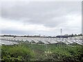 Glasshouses near Offenham Cross in WR11 7XB