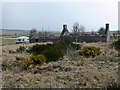 Ruined croft in KW6 6EU