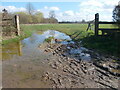 Flooded path at Nazeing in EN9 2DN