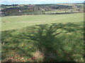 Tree shadow on a field off Long Green in EN9 2SF