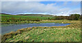 Small marsh near Kirkconnel in DG4 6NP