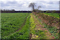 Footpath over Cadishead Moss in M44 5LJ