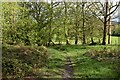 Footpath out of The Rough in RH5 6PX