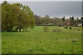 Fields west of Wonham Way in GU5 9PD