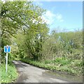 Road through Swell Wood from A378 in TA3 6PZ