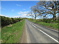 Hedge-lined road at Bog Hill, Urpeth in DH9 0SE