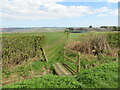 Footbridge from Riding Lane giving access to field edge path in NE11 0JB
