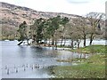 Shoreline near the southern end of Coniston Water in LA12 8DF