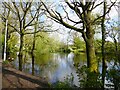 Pond to demolished Bradshaw Hall in SK8 3PZ