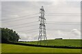 Aust : Grassy Field & Pylon in BS35 4BJ