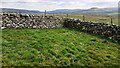 Moorland view over junction of dry stone walls at Sargill Gate in DL8 3JH