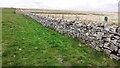 Dry stone wall dividing fields at eastern edge of Maze Pasture in DL8 3JH