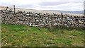 View of rough moorland over dry stone wall at east side of Maze Pasture in DL8 3JH