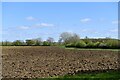 West Camel: Ploughed field in BA22 7RF