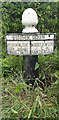 Old Milepost by the A533, Bostock Green in CW9 8NL