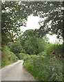 Lane approaching Lower Washbourne in TQ9 7UE