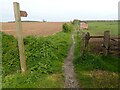 Footpath off Jenny Brough Lane in HU13 0LA