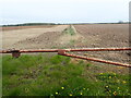 Field seen from Jenny Brough Lane in HU13 0FD