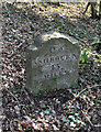 Old Milestone by the B5056, Stoney Ley Woods in DE4 2LY