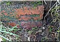 Ordnance Survey Cut Mark in SA48 7PL