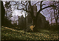 Church of St George and St Mary, Cockington, Devon taken 1964 in TQ2 6RX