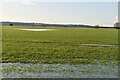 Localised flooding, Romney Marsh in TN29 9SA