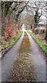 Drive towards Orton Park Farm in Dalston and Burgh Ward