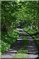 Path up track to Belvedere Wood in SN10 2JD
