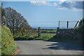 Llannor : Country Lane in LL53 8EX