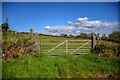 Llannor : Grassy Field & Gate in LL53 8EX