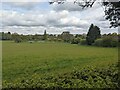 Countryside at Alfrick in WR6 5HW
