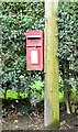 Elizabeth II postbox on High Street, Clotton in Clotton