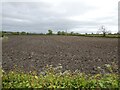 Recently ploughed field in Llandrinio in April in SY22 6SS