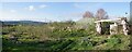 The Wee Elder Orchard Walk Panorama in PH2 7RS