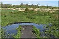 Boardwalk into Common Marsh in SO20 6JB