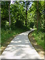Boardwalk through the woods in BA7 7NE