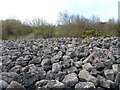 Sea defences near Llanddulas in LL29 8FA