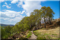 Path above Loch Alsh near Kyle of Lochalsh in IV40 8AJ