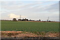 Romney Marsh farmland in TN31 7PE