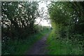 Bridleway near Brockfield Farm in YO19 5XJ
