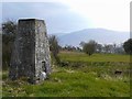 Triangulation pillar, Hewer Hill Quarry in CA5 7DZ