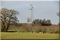 Pylon in vineyard in TN26 2BS
