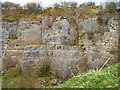 Hewer Hill Quarry, southern end in CA5 7DZ